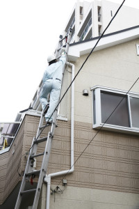 雨漏りの現地調査のため梯子で屋根に上る作業員、