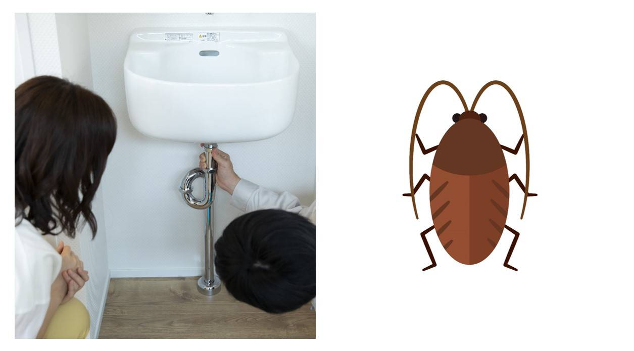 排水管からゴキブリが屋内に侵入する意外な原因 すぐできる対策術 イエコマ