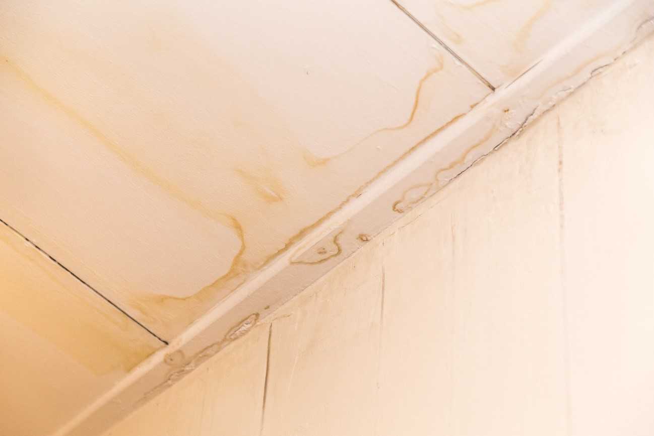天井のシミの原因は雨漏り,結露,ネズミ…放置すると〇〇が家中に発生？